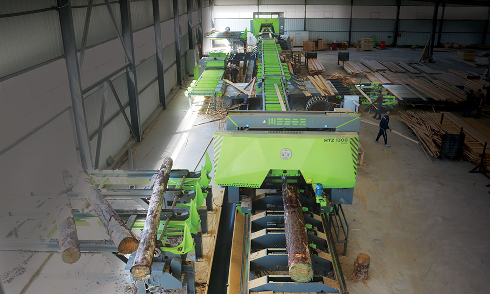 piliarska linka na mäkké a tvrdé drevo v Alžírsku