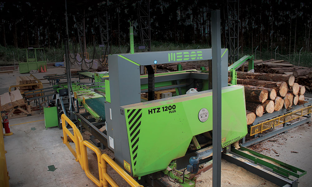 piliarska linka na mäkké drevo v Kolumbii